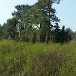 Luett Verbliev *