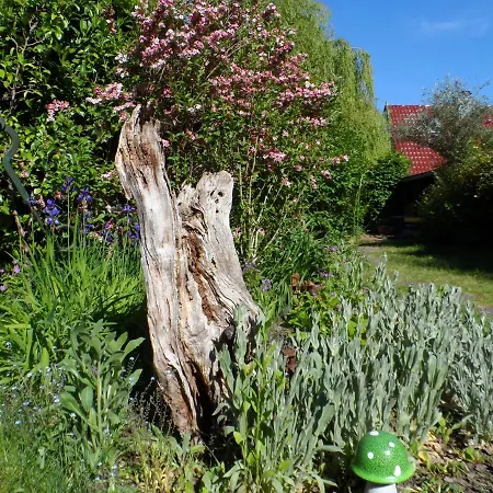 Apartment Lütt Verbliev *