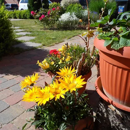 Apartment Lütt Verbliev