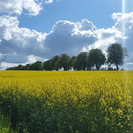 Lütt Verbliev Apartment Malchow (Mecklenburg-Vorpommern)