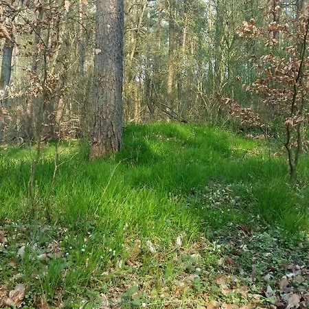 Lütt Verbliev Malchow (Mecklenburg-Vorpommern)